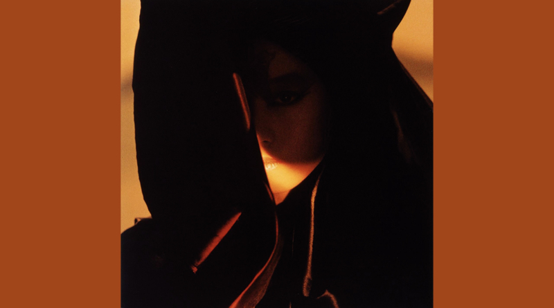 Capa de Fushigi mostrando uma figura humana com um manto preto por cima e com poucos raios de luz chegando à sua face. É difícil distinguir a expressão da figura.